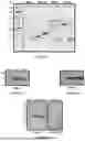 Fig. 05 - IDENTIFICATION OF TDP-43 CRYPTIC EXON-ENCODED NEOEPITOPES AS FUNCTIONAL FLUID BIOMARKERS FOR ALZHEIMER'S DISEASE AND RELATED DEMENTIA