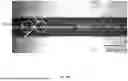 Fig. 03 - Systems and Methods for Dynamic Immunohistochemistry Profiling of Biological Disorders and Feature Engineering thereof