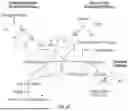 Fig. 31 - System and Method for Drug-Related Data Collection and Analysis