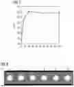 Fig. 05 - Correction of Interference Effects in Echo-Planar Imaging