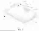 Fig. 03 - RADAR STRUCTURE