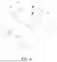 Fig. 05 - RADAR STRUCTURE