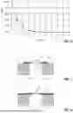Fig. 06 - OPTICAL COMPONENT, OPTOELECTRONIC MODULE AND METHOD OF MANUFACTURE