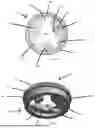 Fig. 10 - TURRET WITH A ZERO STOP