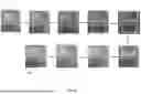 Fig. 07 - LIQUID CRYSTAL ALIGNMENT QUALITY AND STABILITY