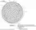 Fig. 01 - LIQUID CRYSTAL LENS