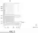 Fig. 08 - OPTICAL MEMBER DRIVING MECHANISM