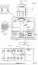 Fig. 02 - METHOD FOR CALIBRATING SIMULATION PROCESS BASED ON DEFECT-BASED PROCESS WINDOW