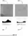 Fig. 10 - DEVICE AND METHOD FOR CALIBRATION-FREE PHASE SHIFTING PROCEDURE FOR SELF-INTERFERENCE HOLOGRAPHY