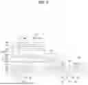 Fig. 11 - Organic Light Emitting Display with Touch Sensor