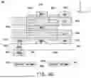 Fig. 24 - INTEGRATED CIRCUIT AND METHOD OF FORMING THE SAME