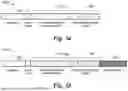 Fig. 07 - DATA ACCESS PATTERN PROFILER FOR MEMORY COMPRESSION SCHEME SELECTION