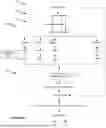 Fig. 08 - METHOD AND SYSTEM FOR ADDRESS VERIFICATION