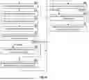 Fig. 11 - IMAGE PROCESSING UTILIZING AN ENTIGEN CONSTRUCT
