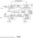 Fig. 22 - IMAGE PROCESSING UTILIZING AN ENTIGEN CONSTRUCT