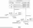 Fig. 25 - IMAGE PROCESSING UTILIZING AN ENTIGEN CONSTRUCT