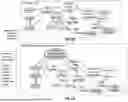 Fig. 41 - IMAGE PROCESSING UTILIZING AN ENTIGEN CONSTRUCT