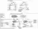 Fig. 44 - IMAGE PROCESSING UTILIZING AN ENTIGEN CONSTRUCT