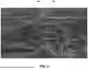 Fig. 20 - AVIAN DETECTION SYSTEMS AND METHODS