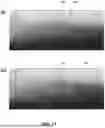 Fig. 23 - AVIAN DETECTION SYSTEMS AND METHODS