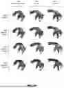 Fig. 06 - GAUSSIAN SPLATTING WITH NEURAL SPLINE DEFORMATION