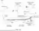 Fig. 19 - OUTCOME ANALYSIS FOR GRAPH GENERATION