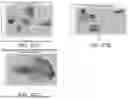 Fig. 40 - OUTCOME ANALYSIS FOR GRAPH GENERATION