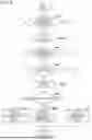 Fig. 09 - AUTHENTICITY VERIFICATION SYSTEM, CONTENT MANAGEMENT APPARATUS, CONTENT GENERATION APPARATUS, CONTROL METHOD OF THE SYSTEM AND THE APPARATUSES, AND PROGRAM FOR THE SYSTEM AND THE APPARATUSES