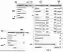 Fig. 07 - APPLICATION NOTIFICATION PREVIEW MANAGEMENT