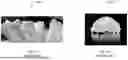 Fig. 12 - Systems and Methods for Multi-modal Prediction of Composite Properties