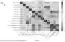 Fig. 19 - Systems and Methods for Multi-modal Prediction of Composite Properties