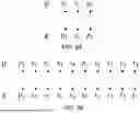 Fig. 07 - ATTENTION MASK FOR SIMULTANEOUS TRANSLATION WITH POSITIONAL REORDERING
