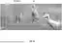 Fig. 17 - ARTIFICIAL INTELLIGENCE AND/OR VIRTUAL REALITY FOR ACTIVITY OPTIMIZATION/PERSONALIZATION