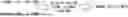 Fig. 01 - ITEM INFORMATION PROVISION DEVICE, ITEM INFORMATION PROVISION METHOD, AND ITEM INFORMATION PROVISION PROGRAM