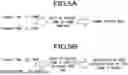 Fig. 06 - ITEM INFORMATION PROVISION DEVICE, ITEM INFORMATION PROVISION METHOD, AND ITEM INFORMATION PROVISION PROGRAM