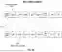 Fig. 10 - DUAL LEDGER SYNCING