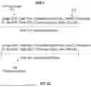 Fig. 12 - DUAL LEDGER SYNCING