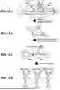 Fig. 10 - INFORMATION PROCESSING DEVICE