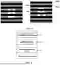 Fig. 04 - VIDEO PROCESSING METHOD AND APPARATUS, ELECTRONIC DEVICE, AND STORAGE MEDIUM