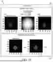 Fig. 05 - Quality Control Of In-Vitro Analysis Sample Output
