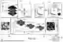 Fig. 09 - Quality Control Of In-Vitro Analysis Sample Output