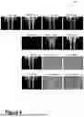 Fig. 05 - Systems and Methods for Quantifying Skin Pigmentation Conditions