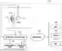 Fig. 01 - CONTROL APPARATUS, CONTROL METHOD, RADIATION IMAGING SYSTEM, AND STORAGE MEDIUM