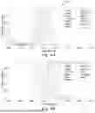 Fig. 03 - MULTI-VIEW MACHINE LEARNING FOR BIOLOGICAL SPECTRAL UNMIXING OF FLUOROPHORES IN FLUORESCENCE MICROSCOPY