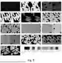 Fig. 04 - MULTI-VIEW MACHINE LEARNING FOR BIOLOGICAL SPECTRAL UNMIXING OF FLUOROPHORES IN FLUORESCENCE MICROSCOPY