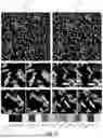 Fig. 05 - MULTI-VIEW MACHINE LEARNING FOR BIOLOGICAL SPECTRAL UNMIXING OF FLUOROPHORES IN FLUORESCENCE MICROSCOPY