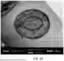 Fig. 24 - SYSTEMS, DEVICES, AND METHODS FOR IMAGING AND DEPTH MEASUREMENT