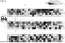 Fig. 09 - Material Density Estimation