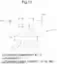 Fig. 12 - DATA PROCESSING DEVICE CAPABLE OF CREATING GRAPHIC IMAGE OF CHARACTER CONTAINED IN PRINT DATA, IMAGE FORMING APPARATUS, NON-TRANSITORY COMPUTER-READABLE RECORDING MEDIUM WITH IMAGE PROCESSING PROGRAM STORED THEREON, AND NON-TRANSITORY COMPUTER-READABLE RECORDING MEDIUM WITH COMPUTER PROGRAM STORED THEREON