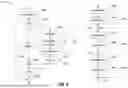 Fig. 05 - SPATIOTEMPORAL ATTENTION IN GENERATIVE MACHINE LEARNING MODELS
